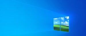 Windows 11 search not working issue screenshot