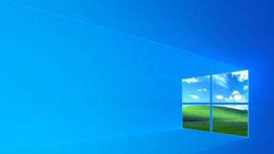 Windows 11 search not working issue screenshot